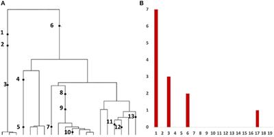 Modes of Selection in Tumors as Reflected by Two Mathematical Models and Site Frequency Spectra